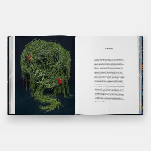 2020s Emily Thompson Flowers Book For Sale - Image 5 of 8