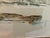 Mid 20th Century 20th Century Coastal Birdsey Watercolor For Sale - Image 5 of 7