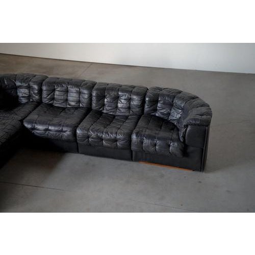 Animal Skin Swiss DS14 Sofa in Black Leather from de Sede, 1970s For Sale - Image 7 of 12