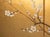 Goldenrod "Sakura", C. 1960s Showa Era Japanese Painted Byobu Screen For Sale - Image 8 of 18