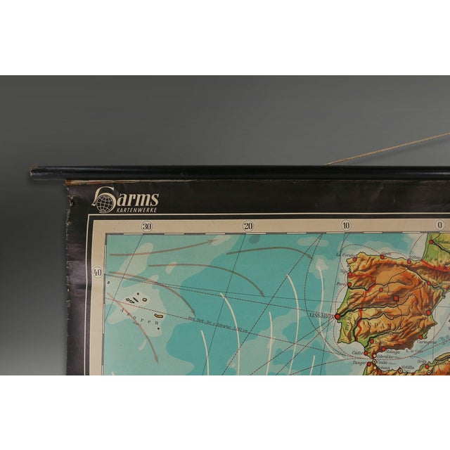 Large Educational Wall Chart, 1950s For Sale - Image 4 of 12