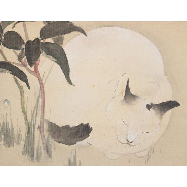 Wood "Sleeping Cat and Peony Flower" by Shuto, Japanese Silk Scroll Watercolor Painting For Sale - Image 7 of 18