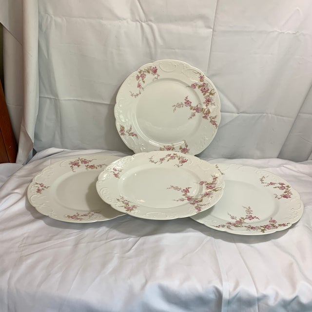 These are Elite Works Limoges antique porcelain plates, produced in France by the renowned company Bawo & Dotter. The...