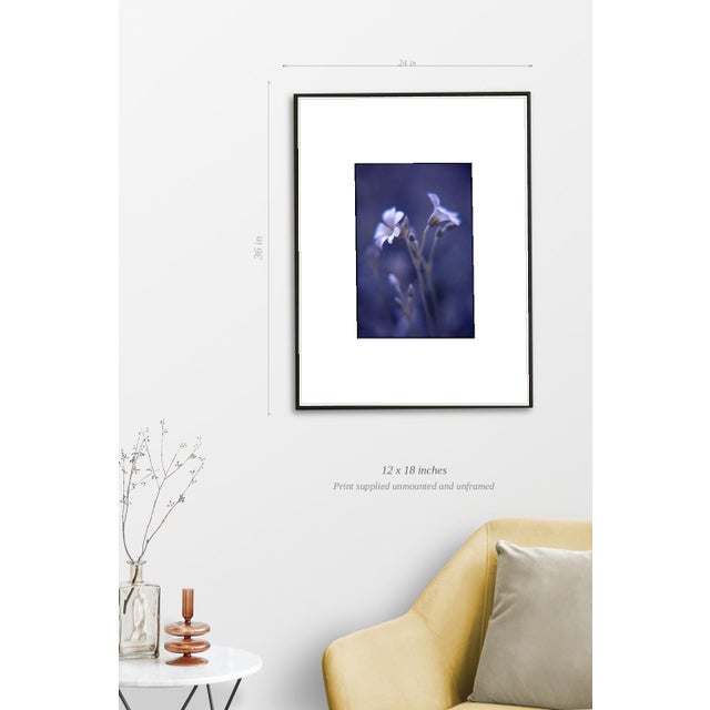 Paul Cooklin, Woodruff, Gallium Odoratum, Edition of 50 For Sale - Image 4 of 7