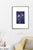 Paul Cooklin, Woodruff, Gallium Odoratum, Edition of 50 For Sale - Image 4 of 7