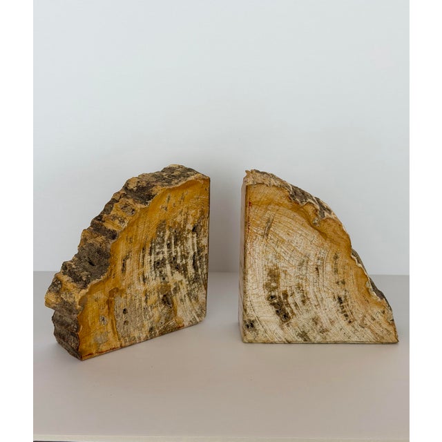 Vintage Sculptural Petrified Wood Bookends - A Pair For Sale - Image 9 of 11