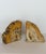 Vintage Sculptural Petrified Wood Bookends - A Pair For Sale - Image 9 of 11