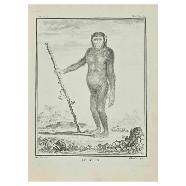 Just Chevillet, Le Jocko, Etching, 1771 For Sale