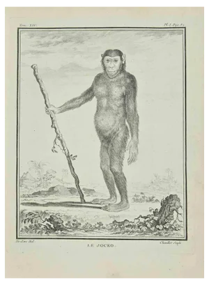 Just Chevillet, Le Jocko, Etching, 1771