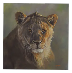 Sylvie Ajacques, Young Lion, 2018, Oil on Canvas
