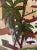 Contemporary Marc Zimmerman "Climbing Village" Oil Painting, Cliffside Town, Palm Trees, Cubist Architecture, Vivid Green, Contemporary Art West Coast For Sale - Image 3 of 8