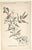 American 1884 Set of 4 Antique Natural History Botanical Lithographs For Sale - Image 3 of 5