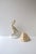 Seashell Natural Tonna Galea, Circa 20th Century For Sale - Image 4 of 11