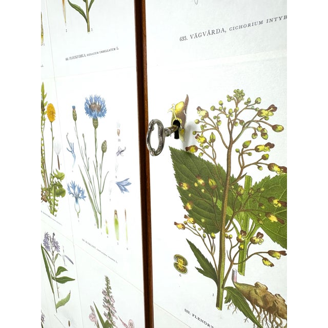 Mid-Century Modern 1950's Swedish Cabinet With Nordens Flora Illustrations For Sale - Image 3 of 10