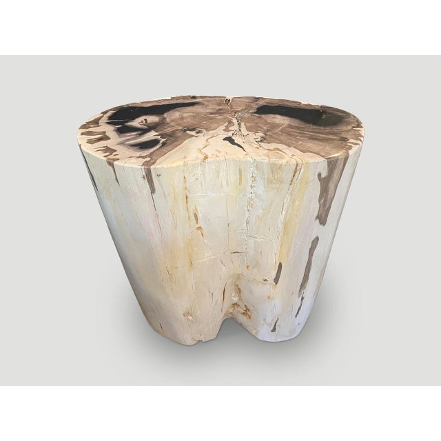 Beautiful impressive contrasting markings on this very rare, super smooth, high quality petrified wood side table....