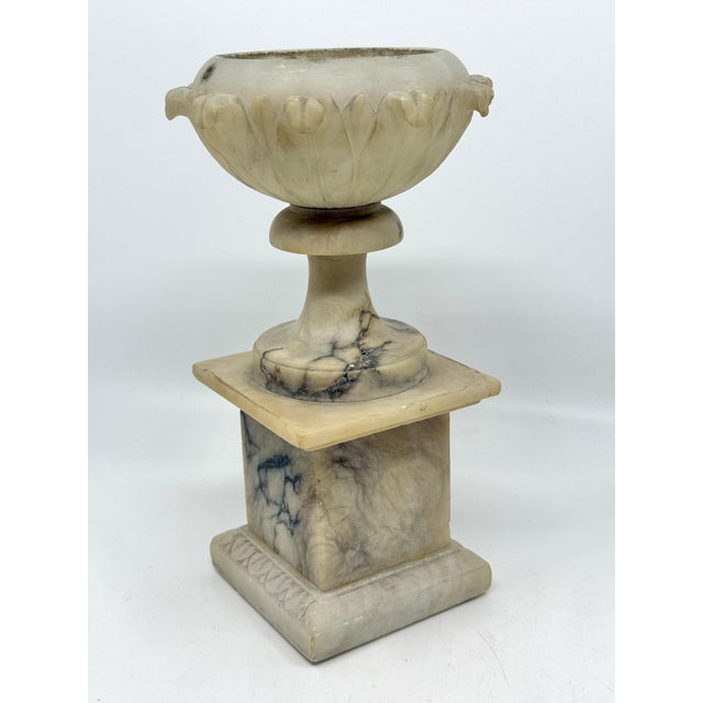 19th Century Grand Tour NeoClassical Alabaster Carved Urn For Sale - Image 11 of 18