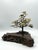 Bronze Mid-Century Brutalist Gilt Bronze Bonsai Tree Sculpture on Burl Wood Basee For Sale - Image 8 of 18