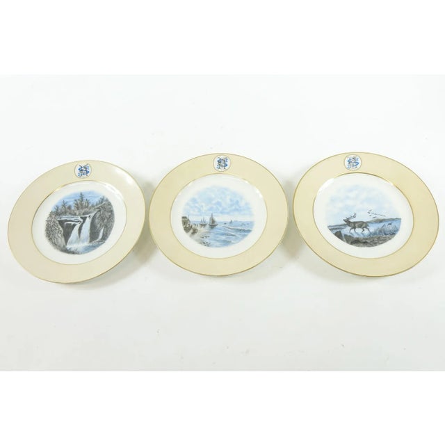 19th Century H&C Decorative Wall Hanging Plates - Set of 3 For Sale - Image 9 of 9