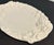 Mid 20th Century Italian Mid Century Modern Gumps Ceramic Cherub Platter For Sale In Naples, FL - Image 6 of 7