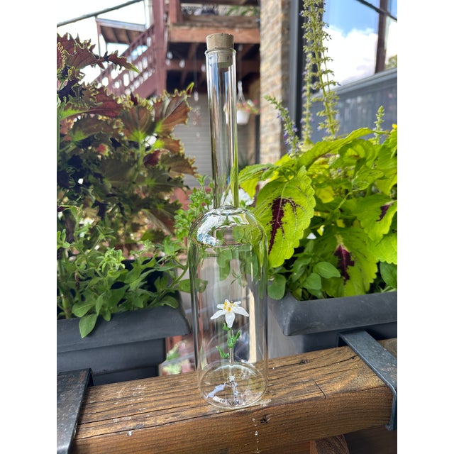 Rare Vintage Viol Glas German Art Glass Edelweiss Bottle / Decanter For Sale - Image 9 of 12