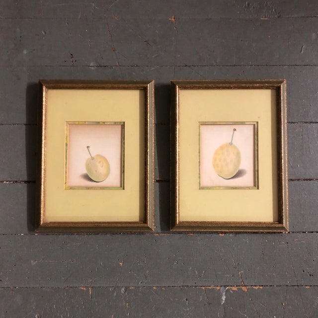 1950s Gallery Wall Collection-2 Vintage Hyper Realistic Colored Fruit Drawings Original Frames 1950’s - a Pair For Sale - Image 5 of 5