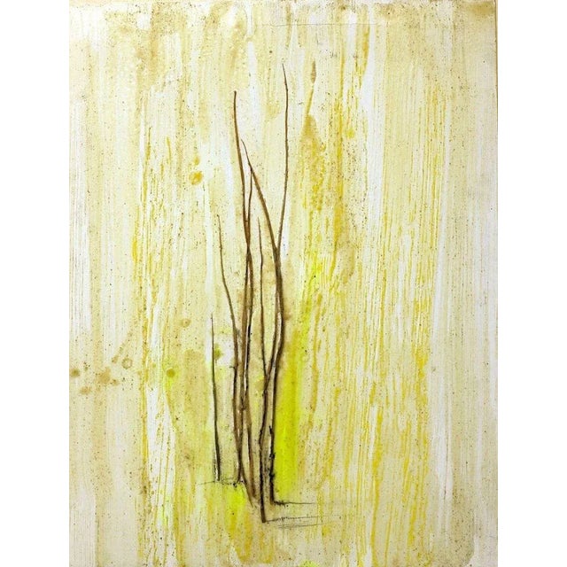 Grass Marks - wax pigments and grass blades - by Claudio Palmieri - 2010 2010 For Sale - Image 3 of 3