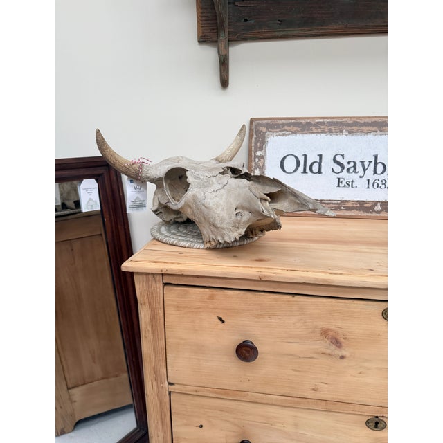 Antique Scrubbed Pine Chest of Drawers For Sale - Image 4 of 9