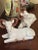 Mid 20th Century Italian Glazed Terra Cotta Rams- a Pair For Sale - Image 9 of 10