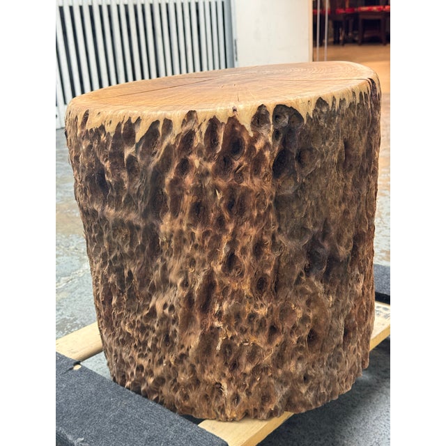2010s Organic Modern Live Edge Tree Side Table/Stool For Sale - Image 5 of 12