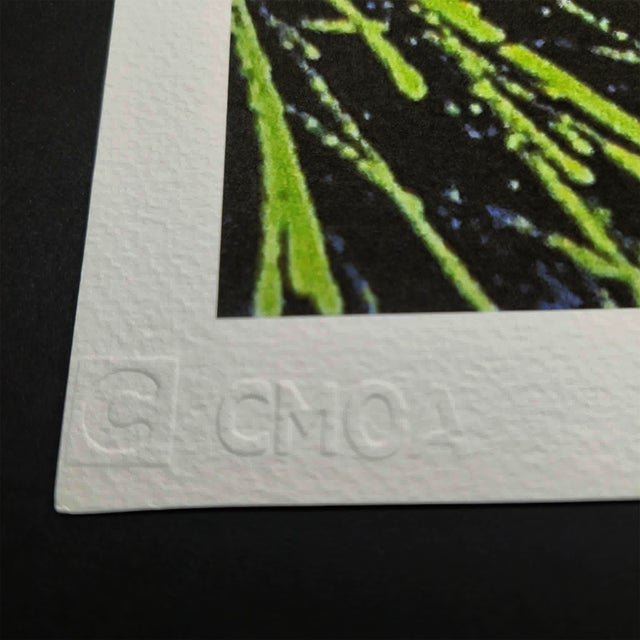 1990s Andy Warhol / CMOA, Flowers, 1980s, Limited Edition Lithograph For Sale - Image 5 of 8
