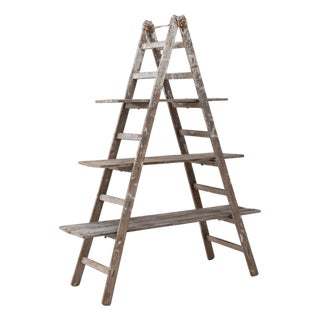 Mid 20th Century French A-Frame Ladder Shelf For Sale