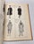 1951 the Mode in Furs Book For Sale - Image 10 of 18