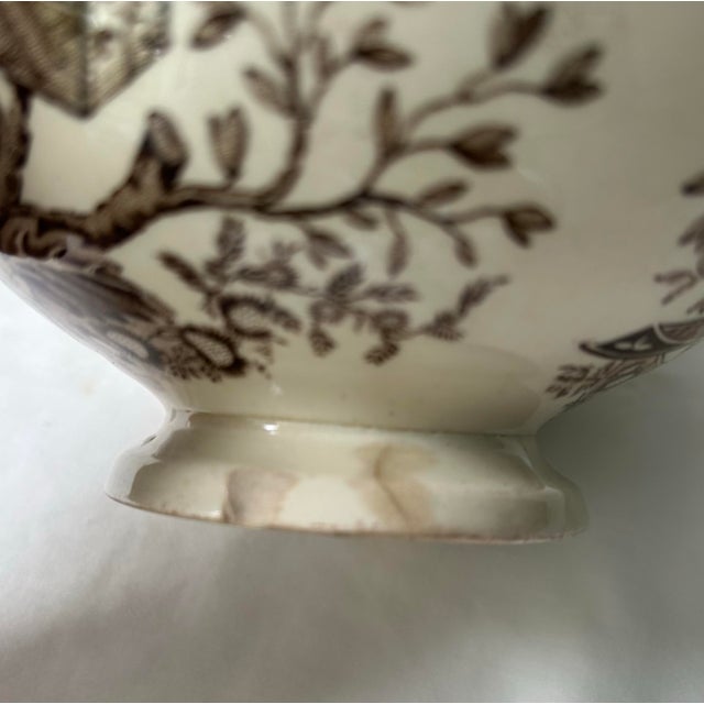 Brown Antique Wedgwood Beatrice Brown Transferware Bowl For Sale - Image 8 of 8
