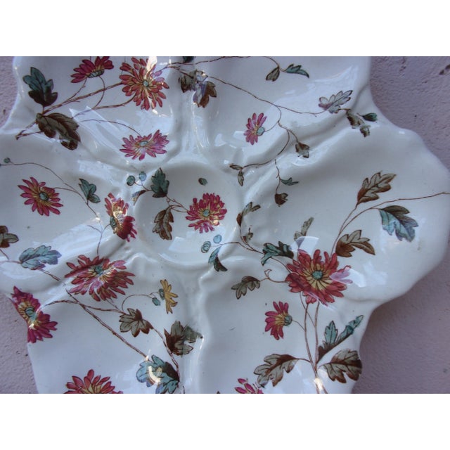 19th century English oyster plate with flowers Adderley ware.
