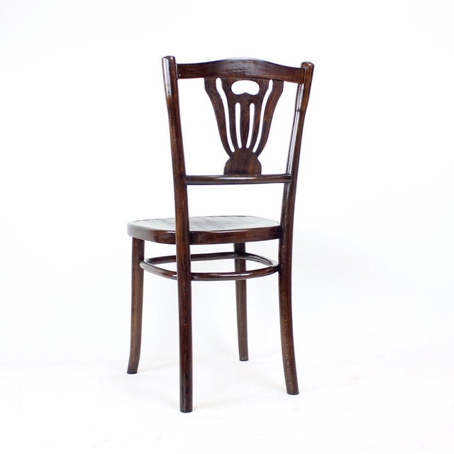 Vintage Bistro Chair in Oak from Ton, Czechoslovakia, 1950s For Sale - Image 4 of 12
