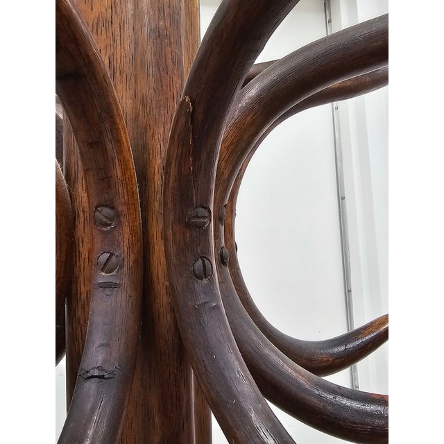 Early 20th Century Thonet Attributed Bentwood Costumer Hat / Coat Rack For Sale - Image 9 of 9