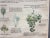 Vintage Disease of the Vines Poster on Toile For Sale - Image 6 of 10
