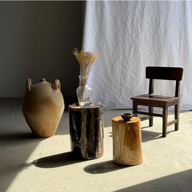 Side Table in Black Petrified Wood with Beige Striations and a Circular Arc For Sale - Image 5 of 18