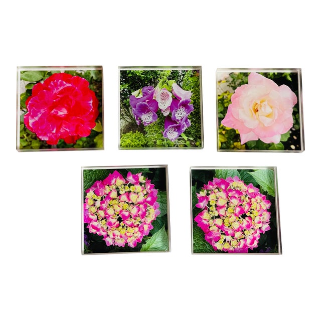 1970s Lucite Coasters Blocks Blooming Florals Roses For Sale