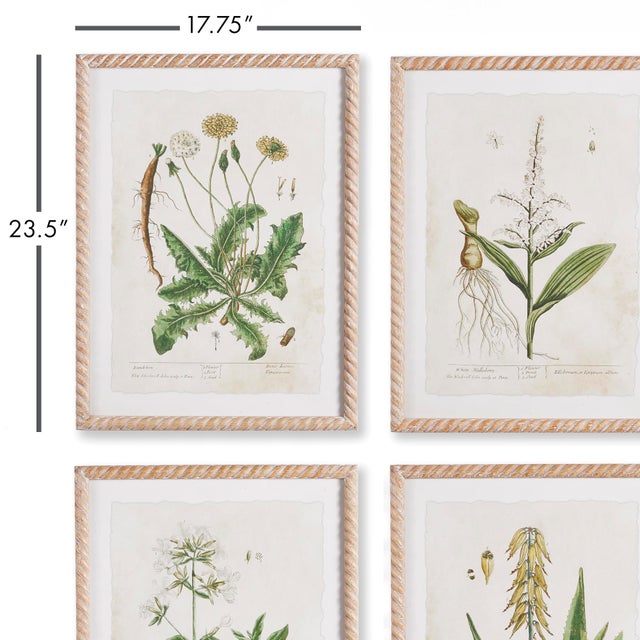 Feminine in nature, these vintage botanicals are perfect for powder room or bedroom. In soothing neutral tones, they are a...