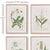 Feminine in nature, these vintage botanicals are perfect for powder room or bedroom. In soothing neutral tones, they are a...