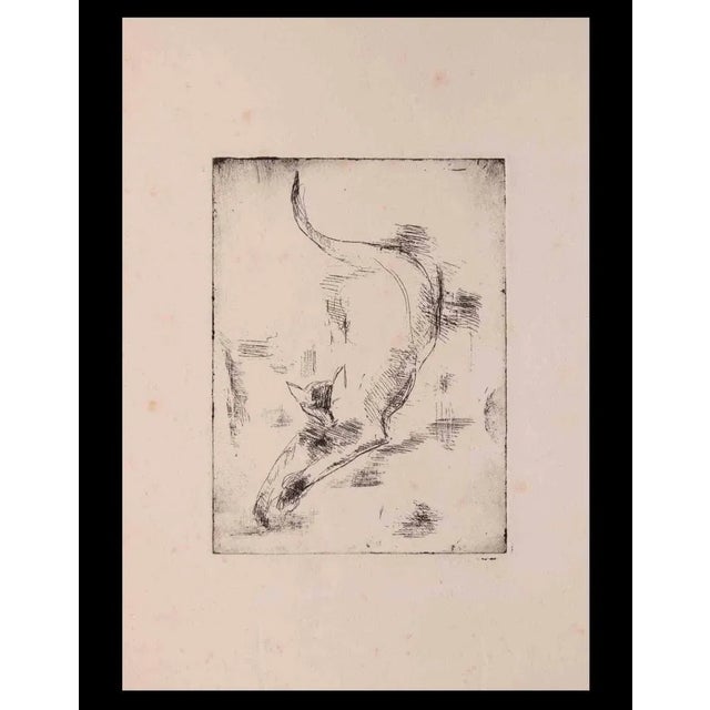 The Cat is an Original etching and drypoint print on paper realized by an Anonymous artist in 1950 ca. Good conditions...