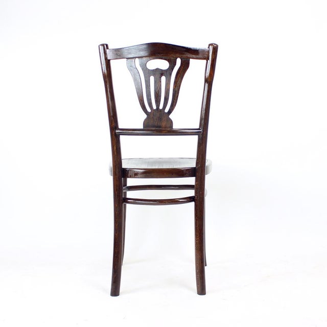 1950s Vintage Bistro Chair in Oak from Ton, Czechoslovakia, 1950s For Sale - Image 5 of 12