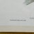 Antique John Gould 1850s Hand Colored Hummingbird Lithograph Campylopterus Delattrei Custom Framed For Sale - Image 9 of 14