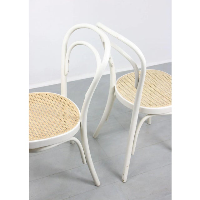 No. 214 Chairs, Set of 4 For Sale - Image 5 of 13