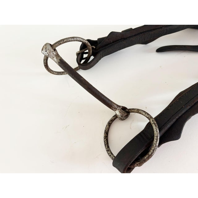 Antique Horse Bridle and Bit, 1900s For Sale - Image 9 of 9