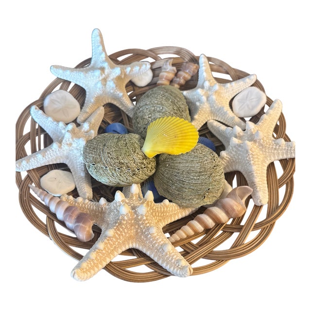 Curated Maritime Still Life: An Assemblage of Pristine Specimen Seashells and Starfish in Woven Tray For Sale