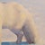 Arctic Fox by Thorgrimur Einarsson | Oil on wood panel White arctic fox in a snowy landscape. For Sale - Image 4 of 4