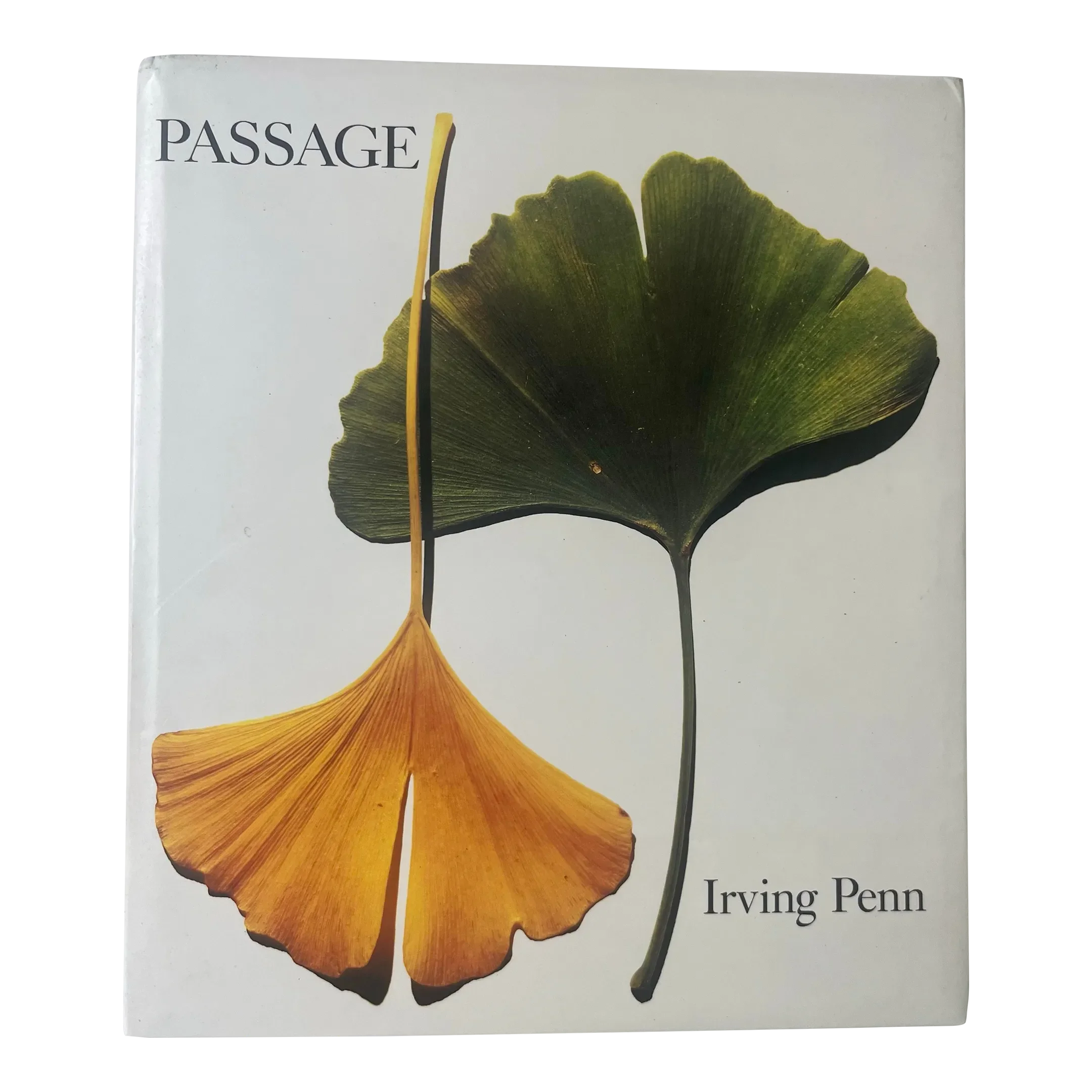 Passage: A Work Record by Irving Penn, 1991, 1st Edition