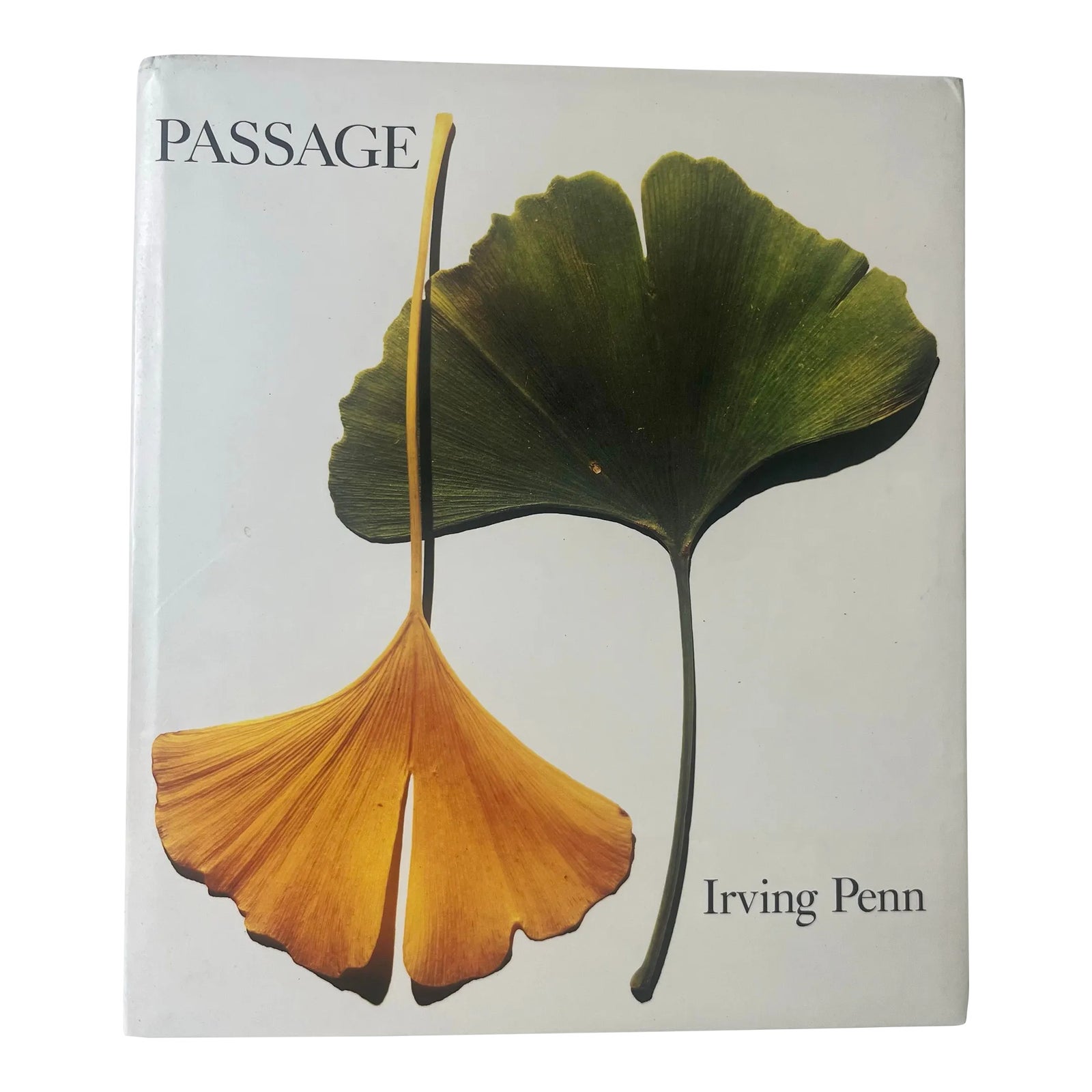 【Passage 】Irving Penn 1991年初版 Passage: A Work Record by Irving Penn, 1991, 1st Edition